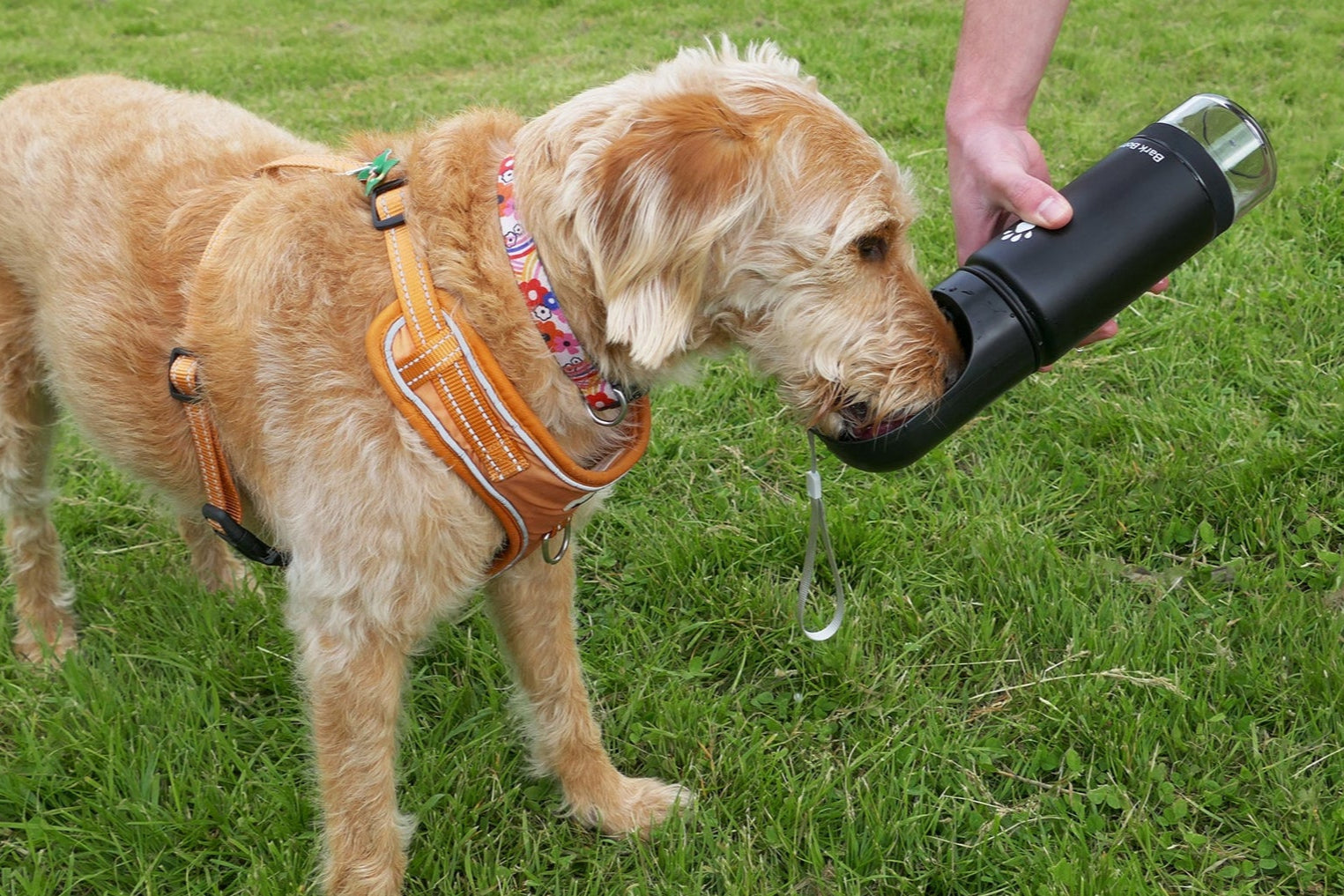 Bark Bottle™