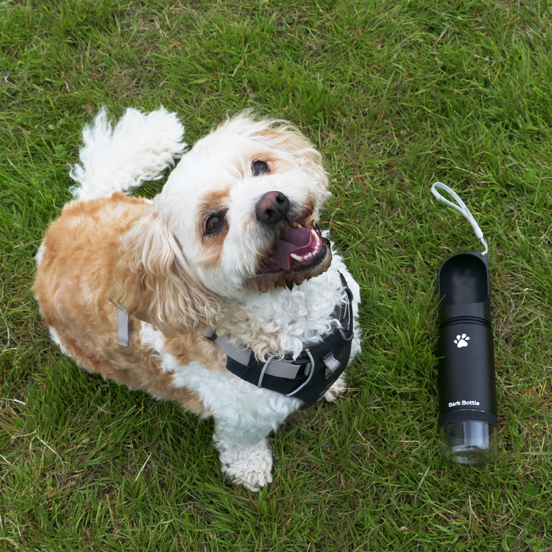 Bark Bottle™